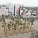 윙윙댄스스포츠 이미지