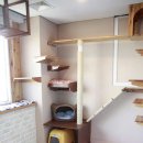 우산쓴고양이 | 서울 양천구 우산쓴고양이, 주차, 후기, 위치