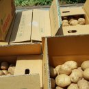 무지개빛농장 이미지