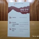 태백고생대자연사박물관 | 강원도 태백 가볼만한곳 아이와 놀거리 관광지 태백 고생대자연사박물관