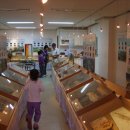 영월화석박물관 이미지