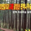 고흥 팔영산 편백치유의숲 예약/좌석배치(12월2일) 이미지