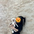 파르크 | ​🐶[애견카페] "댕댕이들의 천국, 가창 파르크우록 방문후기