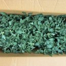 봉산보건지소 이미지