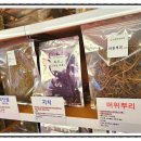 건강 약초 이미지