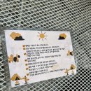 캠핑파크 | 수원 오목천동 불멍 캠핑 이색 카페 리틀톤파크 내돈내산 후기