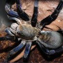 코발트블루 이미지