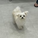 이뻐질개 이미지