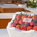 알로3 농장 이미지