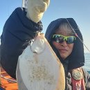 참가자미 이미지