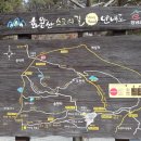 고암체육공원 Daum카페
