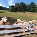 남해목장 이미지