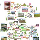 제주야 표선 | 설날 시댁과 제주도 여행 3박 4일 ✈️ ③ 셋째날 | 휴애리 유채꽃·감귤따기 체험🍊·제주야 표선 숙소 후기