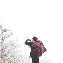 남덕유산(남덕유산주차장~영각재~남덕유산~월성재~황점주차장 9.6k) 블랙야크100 25.1.25.토요일