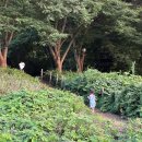 금마목장 이미지