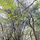 서광리-14 이미지