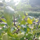 운곡리경로당 이미지