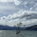 동양카프라자 | 뉴질랜드 여행 5, 6일차 와나카호수 퀸스타운 파타고니아