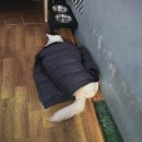 개빵뜯어먹는소리 네이버블로그