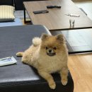 문막오크카운티 이미지