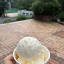 비래동매운족발 이미지