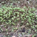 천서초등학교 이미지