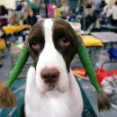 때빼고광내고 이미지