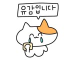아일랜드프로젝트성산점