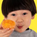 귤가게