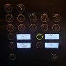 아쿠아월드 | 마카오 파리지앵 호텔 수영장 아쿠아월드 아이와 이용후기