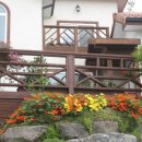 자라는 씨앗 이미지