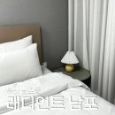 래디언트 남포 이미지