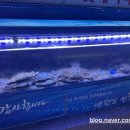 연평도 목포 산꽃게 이미지
