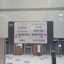 나베트인바디