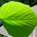 유니스어학원 이미지