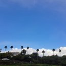 서광서리 이미지