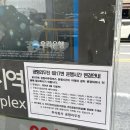 [혼자치앙마이] Day.1 올드타운에서 보내는 첫번째 날