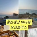 바다사랑 펜션 | 울산 펜션 울산 바다뷰 펜션 오션블리스 후기