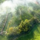 연자농장 이미지