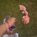 untitled | 세빛섬에서 특별한 결혼식 《Untitled: Wedding$》 모르는 사람 결혼식에서 신나게 즐기고온 후기