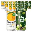 초록망고 이미지