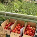 민둥산쉼터 이미지