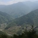 정자나무민박 이미지