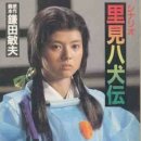 里見八犬伝 (1983) 이미지