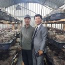 군자농장 이미지