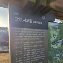서오릉산책 | 고양 장희빈의 묘가 있는 서오릉 무료개방 후기 설연휴 산책 다녀온 기록