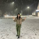 준독 | 훗카이도 비에이 후라노 투어 내돈내산 하루하루투어 완전 추천하는 이유