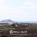 씨더비양