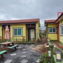 유채꽃길에 머문시간 이미지