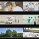 에이스 비디오클럽 이미지